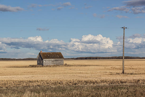 old shed in a farmers field on the prairies with blue sky and clouds and hydro poles