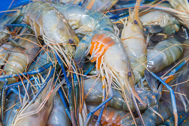 istock Fresh shrimp at the market,Thailand 475889374