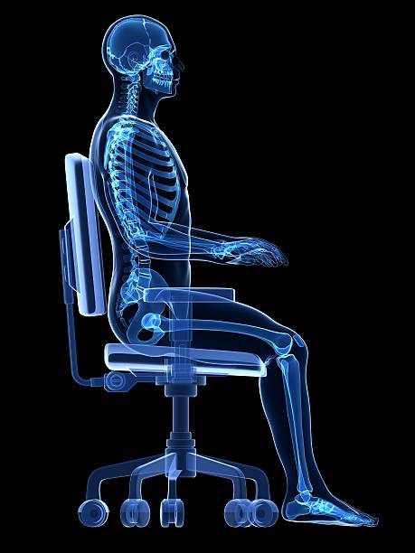 correct sitting 3d rendered medical illustration - correct sitting posture ergonomic keyboard photos stock pictures, royalty-free photos & images
