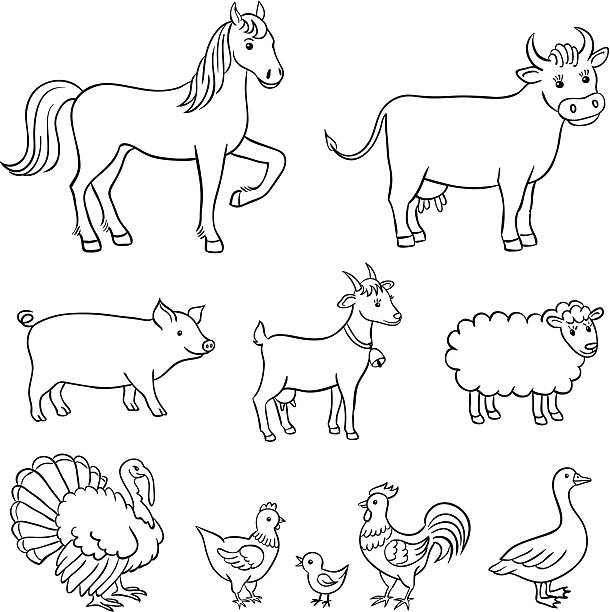 Farm animals vector art illustration