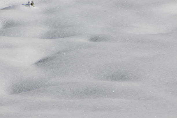 istock White snow covers the landscape 475893573