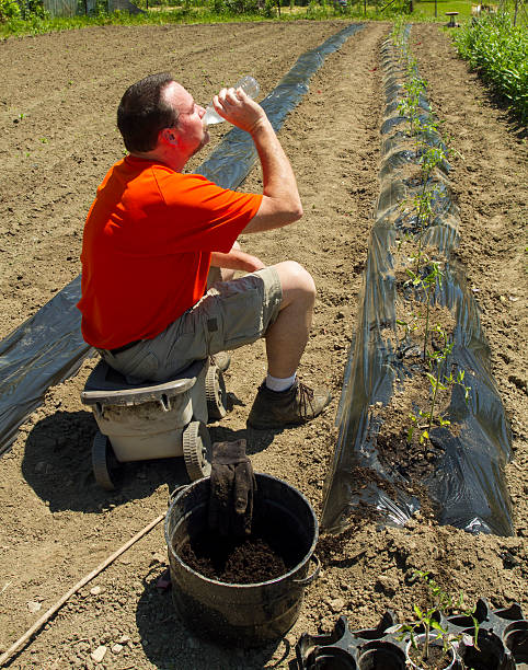 istock Organic Farmer Taking A Water Break After Finishing A Row 475895870