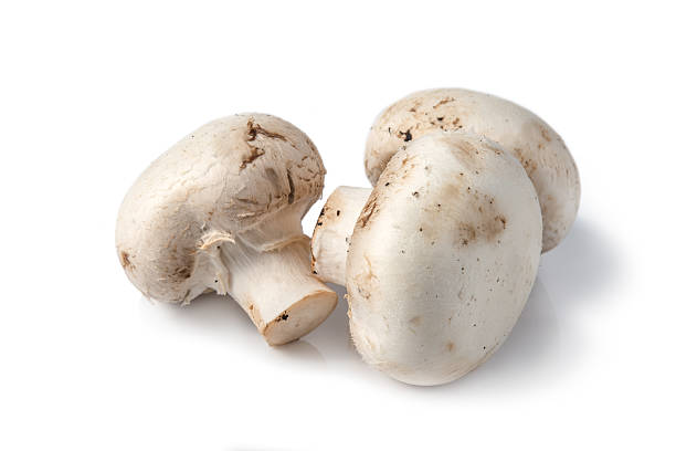 istock Delicious raw Agraicus mushrooms 475896557