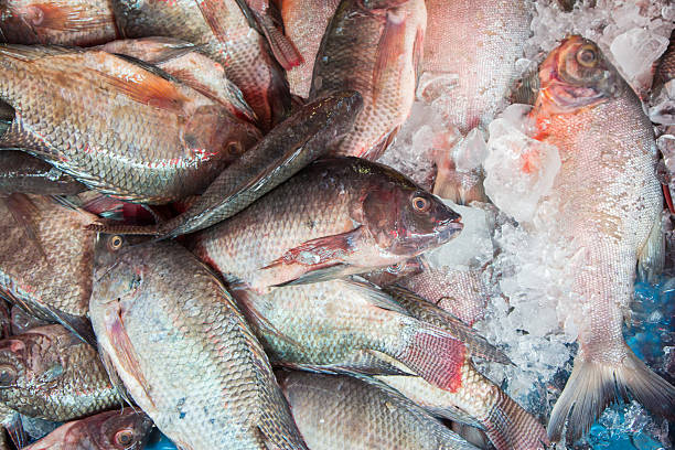 istock Fresh fish at the market,Thailand 475898032