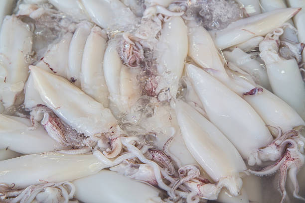 istock Fresh Squid pile up on ice at market ,Thailand 475898962