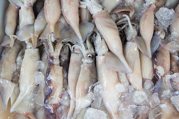 Fresh Squid pile up on ice at market ,Thailand
