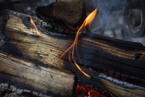istock burning wood in the fire 475900642