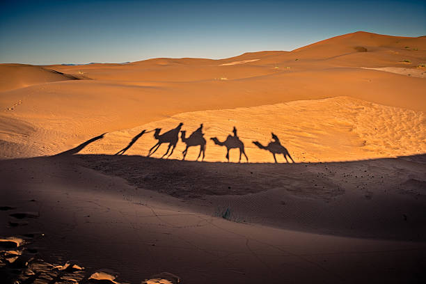 istock Long shadows of camel caravan in the desert 475903332