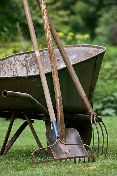 istock Old wheelbarrow and tools in the garden 475904118