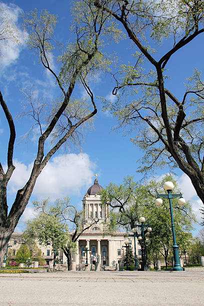 widok pionowy południowej części manitoba legislacyjnych building - southern manitoba zdjęcia i obrazy z banku zdjęć