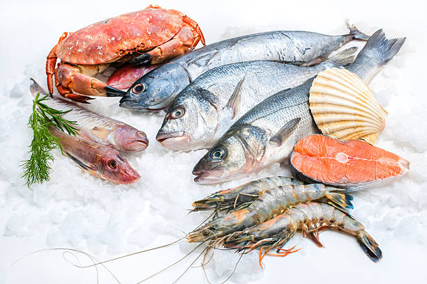 Seafood on ice Seafood on ice at the fish market commercial tuna fishing stock pictures, royalty-free photos & images