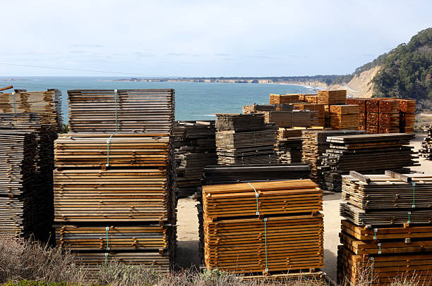 stosy tylko częściowo redwood przetwarzanego na ocean - timber lumber industry redwood stack zdjęcia i obrazy z banku zdjęć