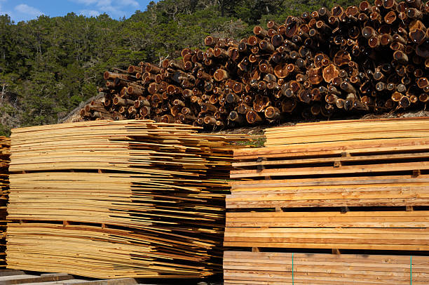 stos tylko częściowo redwood stare meble z plików w tle - timber lumber industry redwood stack zdjęcia i obrazy z banku zdjęć