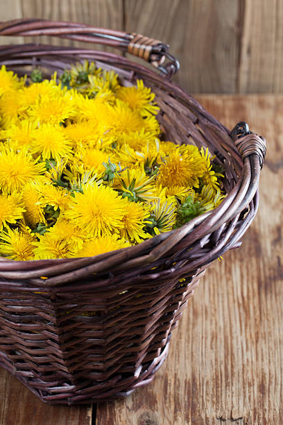 istock Dandelions in a basket 475910225