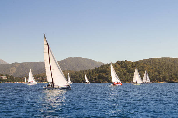 istock maneuvers near the shore 475915036