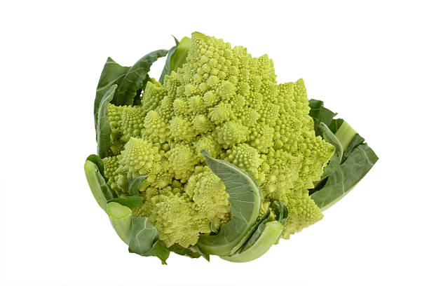 Romanesco_8