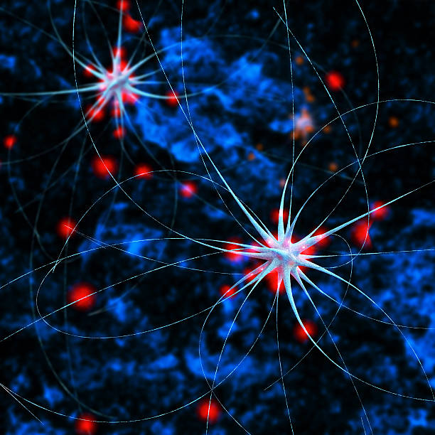 신경 세포 - 3d 렌더링됨 일러스트 - elektronl 뉴스 사진 이미지