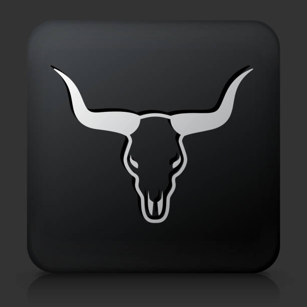czarny kwadratowy przycisk z byk czaszka ikonę - animal skull cow animal black background stock illustrations