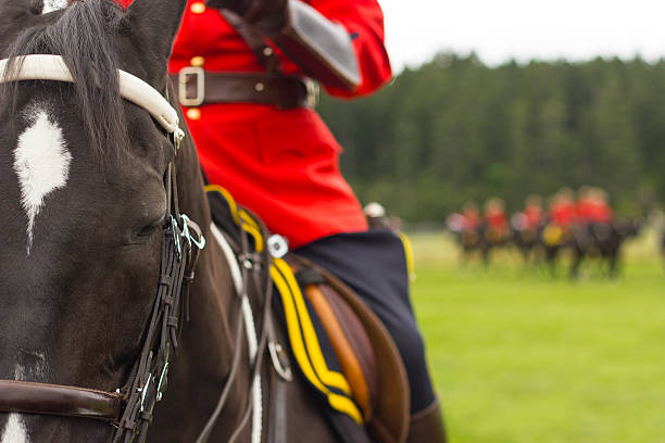 Generic RCMP Background Generic Royal Canadian Mounted Police background. canadian culture stock pictures, royalty-free photos & images