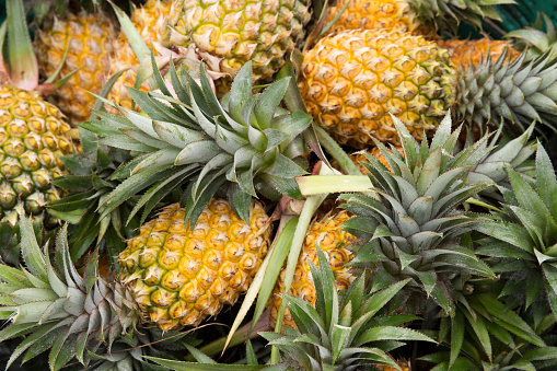 Group of pineapple fruit on the basket