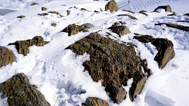 istock close up snow and rock 475920390