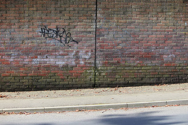 istock Image of dirty red brick wall with graffiti tags, green-lichen 475920548