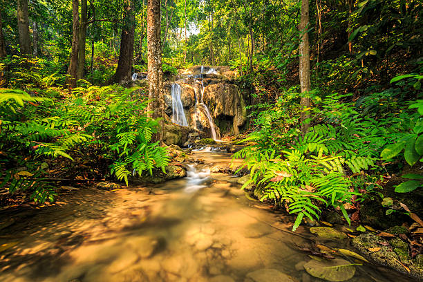 istock wonderful waterfall in thailand, Pugang chiangrai 475921048