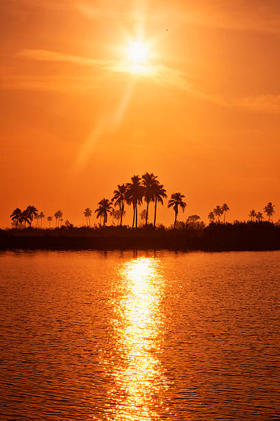 Sunset on the Kerala Backwaters in India.