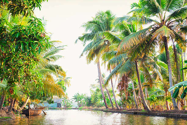 istock The Kerala Backwaters in India 475935968