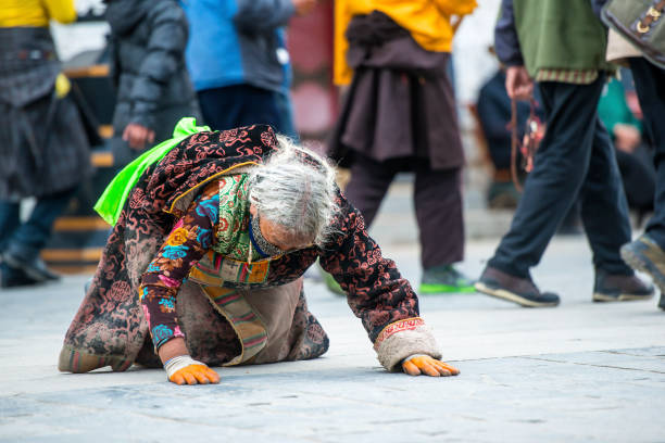 Lhasa, Tibet, China - September 23, 2014: An elderly Tibetan woman postratring as part of her pilgrimage at the  Barkhor in Lhasa, the captial of Tibet. The Barkor is a popular devotional circumabulation for pilgrims and locals. The walk is about one kilometre long and encircles the entire Jokhang, the former seat of the State Oracle in Lhasa called the Muru Nyingba Monastery, and a number of nobles' houses including Tromzikhang and Jamkhang.