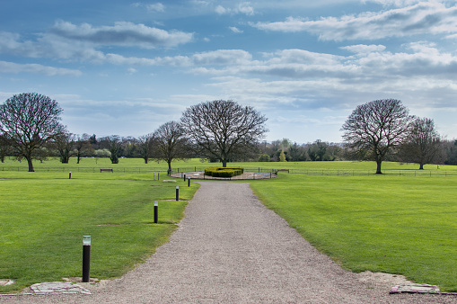 A pathway in the Irish countryside with a cloud filled blue sky and trees in the distance.