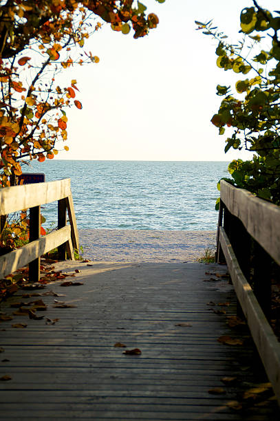 istock shaded boardwalk leading to beach 475945952
