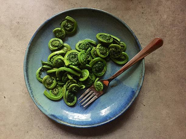 Steamed fiddleheads with fork on blue stoneware plate A top-down view of steamed fresh fiddleheads that have been tossed with butter and salt and served on a blue and green stoneware (pottery) plate with a fork. Fiddleheads are popular in spring in many parts of North America, where they are one of the first plant foods to emerge after the winter. fiddle head stock pictures, royalty-free photos & images