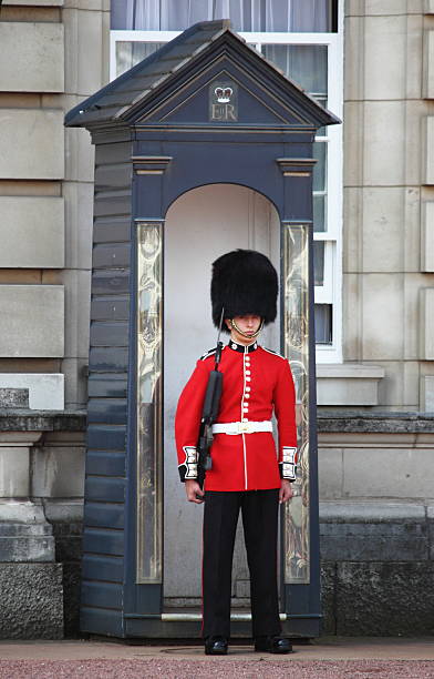 sentry em serviço no palácio de buckingham - honor guard buckingham palace protection london england imagens e fotografias de stock
