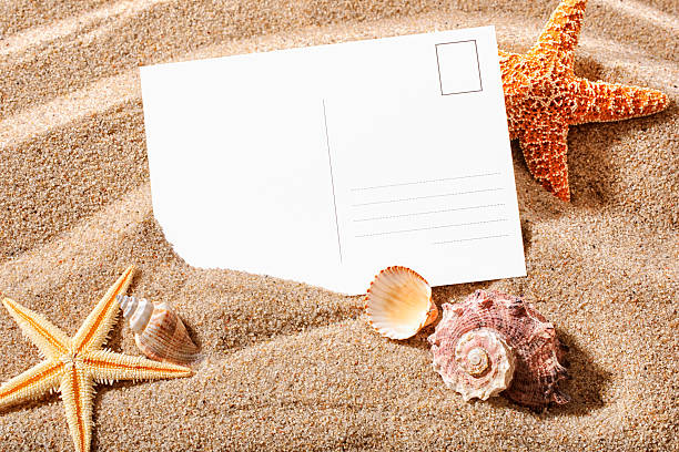 cartolina su una spiaggia - seashell shell sand copy space foto e immagini stock