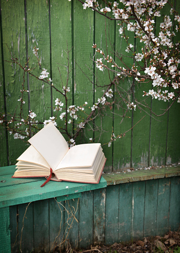 Retro still life with open diary lying on bench against background of cherry tree in blossom