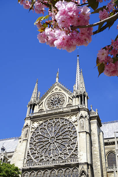 istock Notre Dame cathedral in spring time, Paris, France 475950290