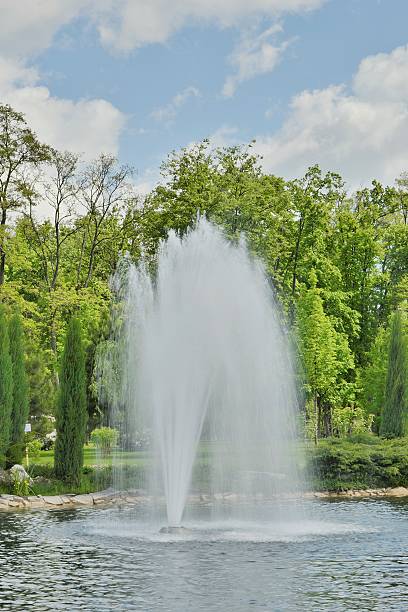 istock Fountain in the lake in the park 475951098