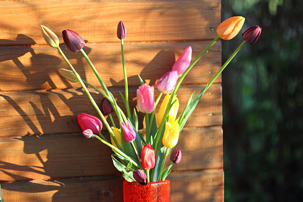istock Bouquet of tulips 475954408