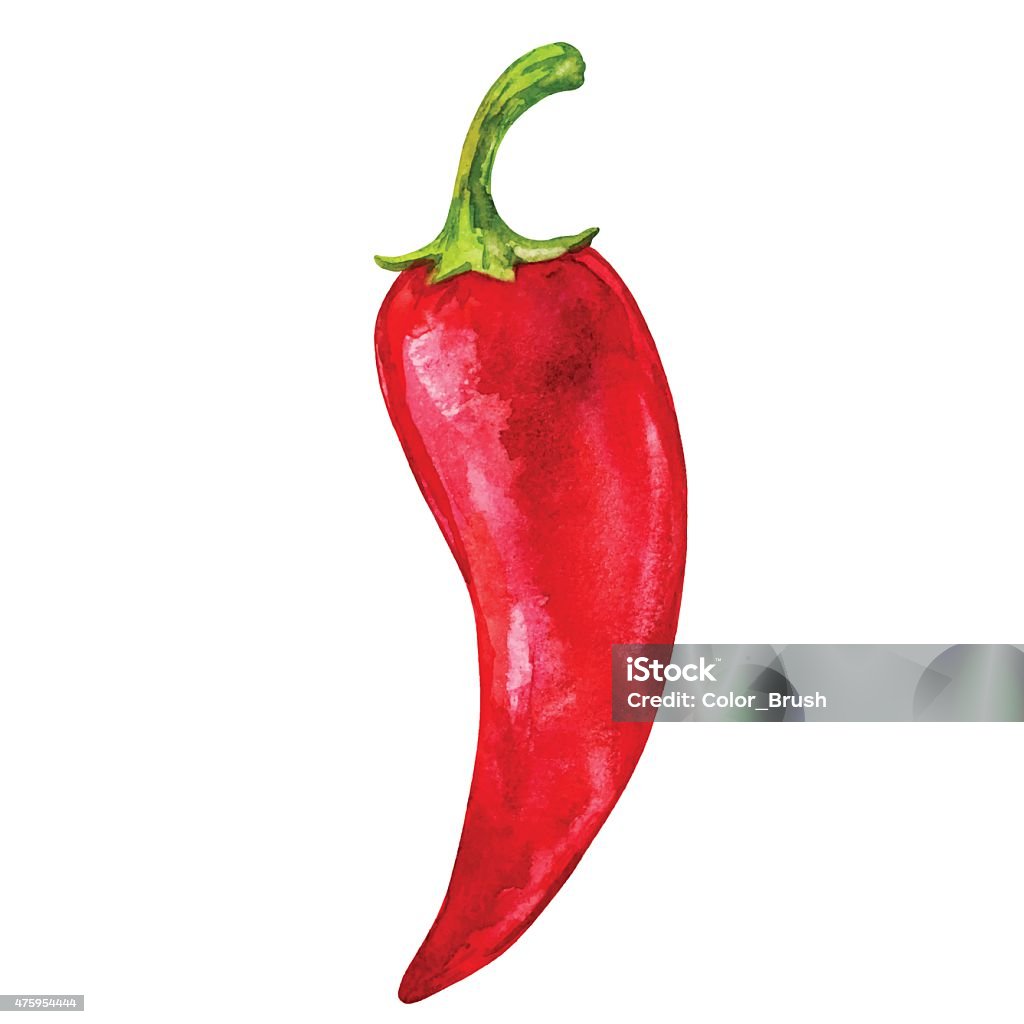 Watercolor vegetable red hot chili pepper closeup Watercolor vegetable red hot chili pepper closeup isolated on a white background. Hand painting on paper Red Bell Pepper stock vector
