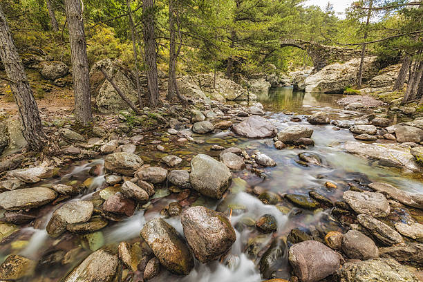 istock Genoese bridge over Tartagine river in northern Corsica 475957314