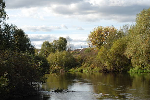 istock Autumn trees near the river 475957372