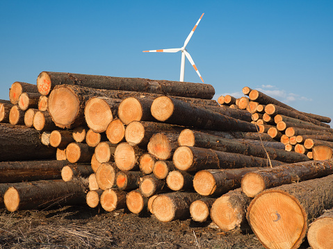 Stacked sawed pine logs with a wind turbine in the background