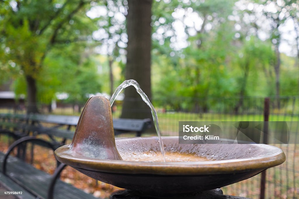 Drinking fountain of cobber Drinking fountain in Central Park Drinking Fountain Stock Photo