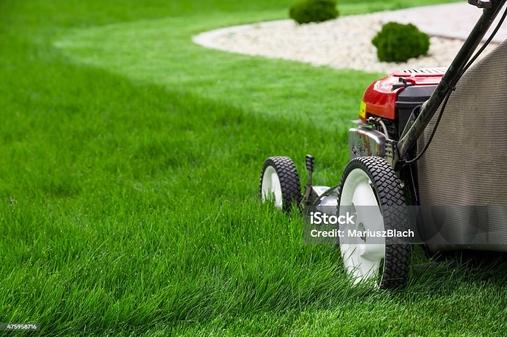 Lawn mower Photograph of lawn mower on the green grass. Mower is located on the right side of the photograph with view on grass field.  Mowing Stock Photo