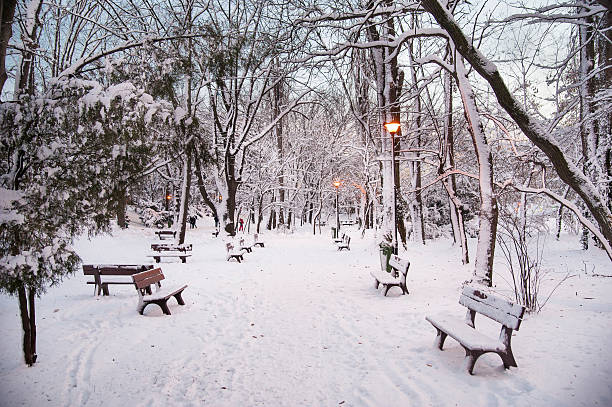 조명 켜져 인명별 공원 - snow winter bench park 뉴스 사진 이미지