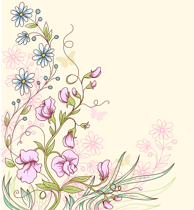 Floral summer vector background with sweet pea. 	EPS 10 file, contains transparencies.
