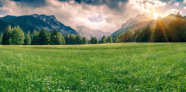 istock Panorama of Triglav mountain range 475964998