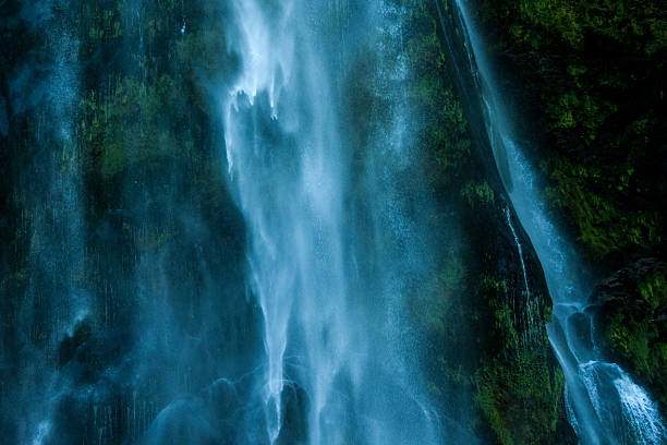 Waterfall in Fjord Milford Sound #6714 stock photo