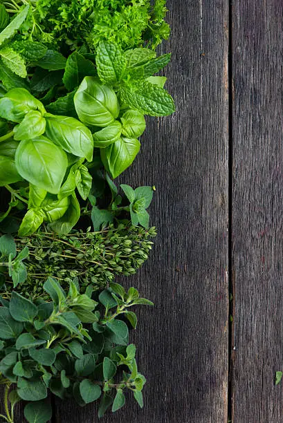 Fresh herbs cut in home garden, on wooden rustic table